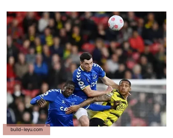 埃弗顿足球俱乐部历史沿革与辉煌赛季全面解析